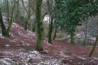 Land survey, Kingsley Green, Sussex
