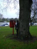Land Survey, Teddington